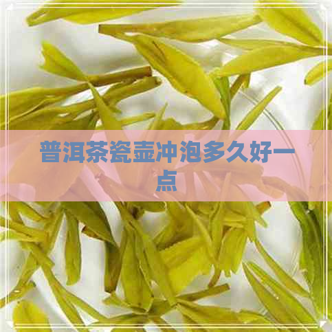 普洱茶瓷壶冲泡多久好一点