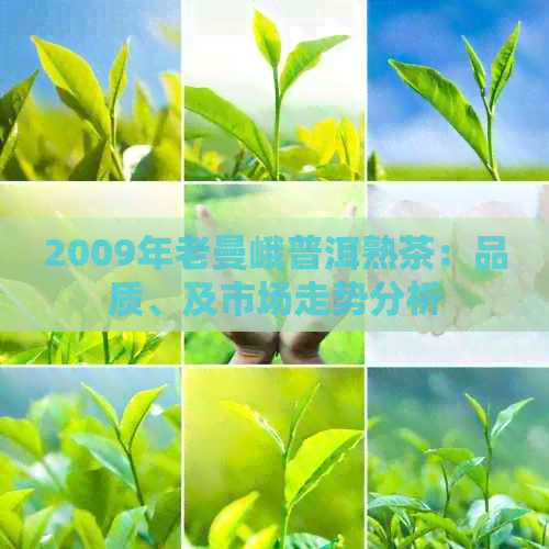 2009年老曼峨普洱熟茶：品质、及市场走势分析