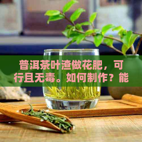 普洱茶叶渣做花肥，可行且无。如何制作？能养花吗？普洱茶渣可做肥料吗？