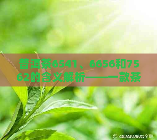 普洱茶6541、6656和7562的含义解析——一款茶叶的多种编号代表什么？