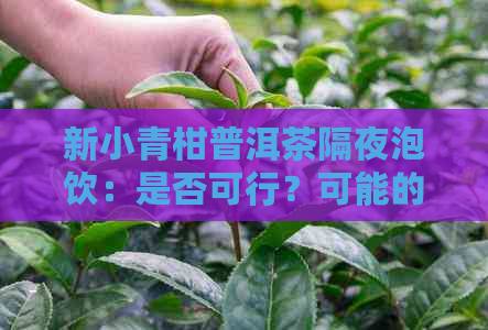 新小青柑普洱茶隔夜泡饮：是否可行？可能的副作用及安全建议