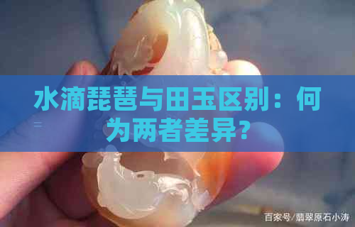 水滴琵琶与田玉区别：何为两者差异？