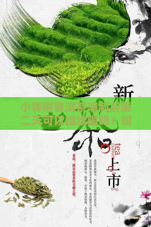 小青柑普洱茶泡制后第二天可以继续喝吗？如何保存以长保质期？