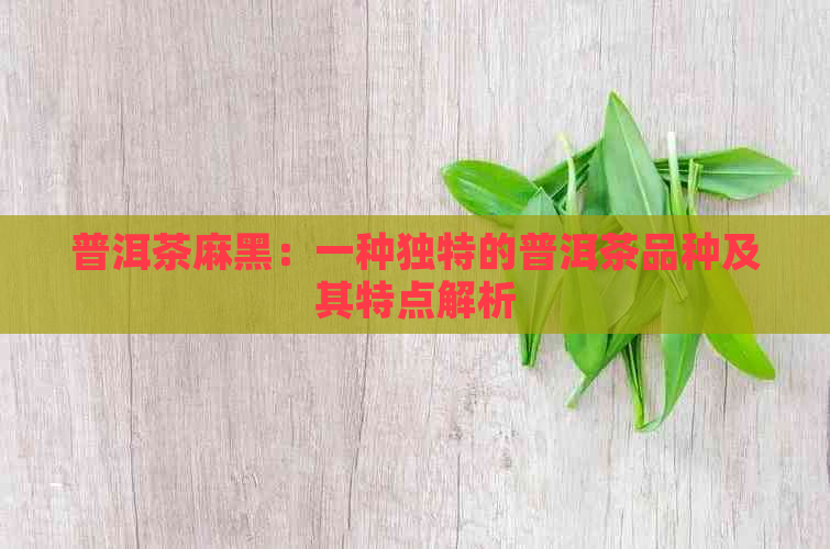 普洱茶麻黑：一种独特的普洱茶品种及其特点解析