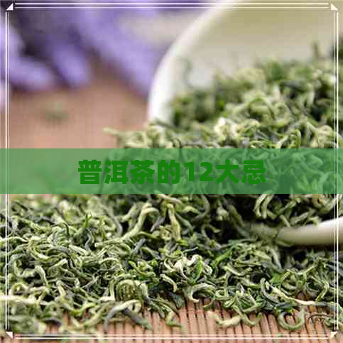 普洱茶的12大忌