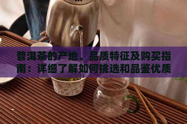 普洱茶的产地、品质特征及购买指南：详细了解如何挑选和品鉴优质的普洱茶