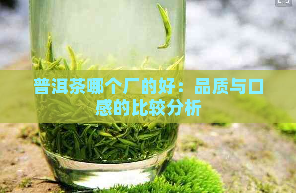 普洱茶哪个厂的好：品质与口感的比较分析