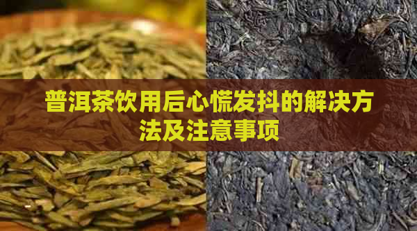 普洱茶饮用后心慌发抖的解决方法及注意事项