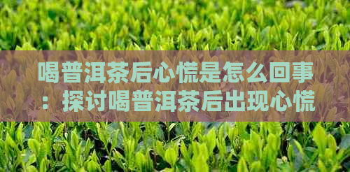 喝普洱茶后心慌是怎么回事：探讨喝普洱茶后出现心慌的原因及解决方法