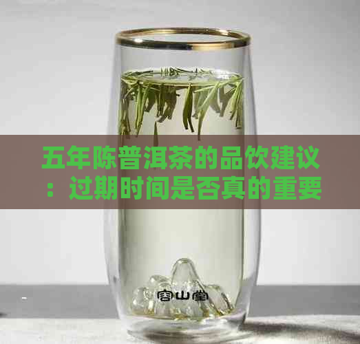 五年陈普洱茶的品饮建议：过期时间是否真的重要？