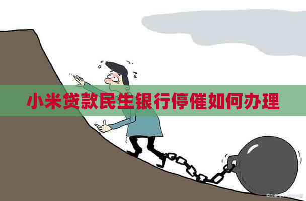 小米贷款民生银行停催如何办理