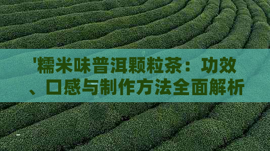 '糯米味普洱颗粒茶：功效、口感与制作方法全面解析'