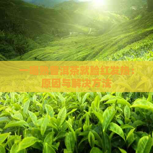 一喝熟普洱茶就脸红发热：原因与解决方法