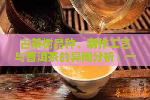 古茶树品种、制作工艺与普洱茶的异同分析：一场茶叶文化的深度解读