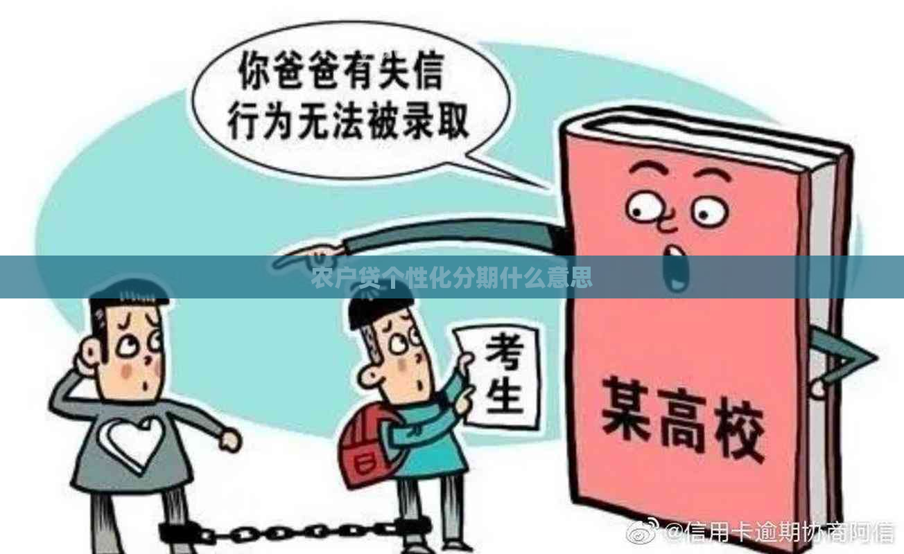 农户贷个性化分期什么意思