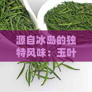 源自冰岛的独特风味：玉叶冰岛普洱茶的品鉴与欣