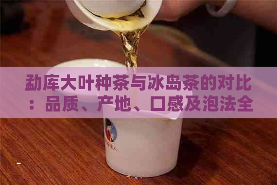 勐库大叶种茶与冰岛茶的对比：品质、产地、口感及泡法全解析