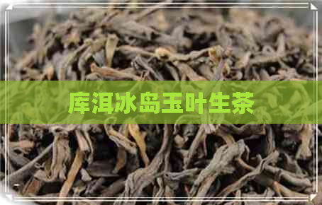 库洱冰岛玉叶生茶