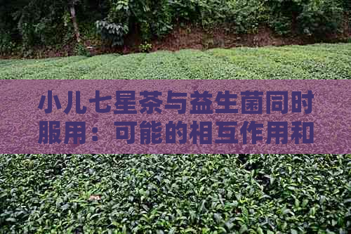 小儿七星茶与益生菌同时服用：可能的相互作用和注意事项