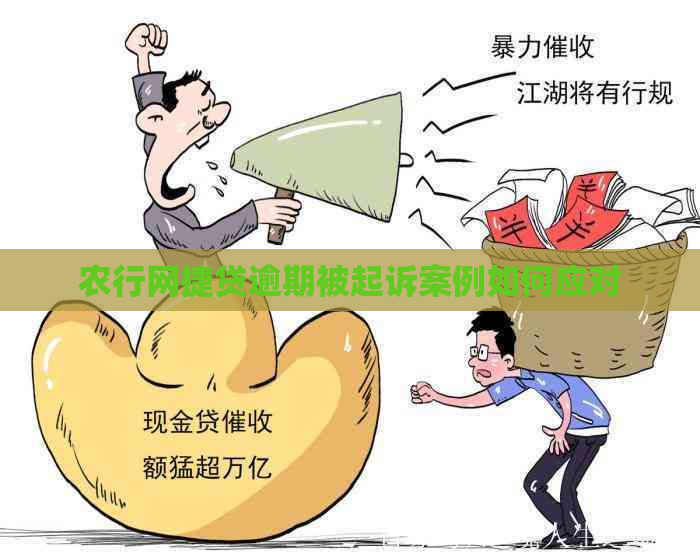 农行网捷贷逾期被起诉案例如何应对