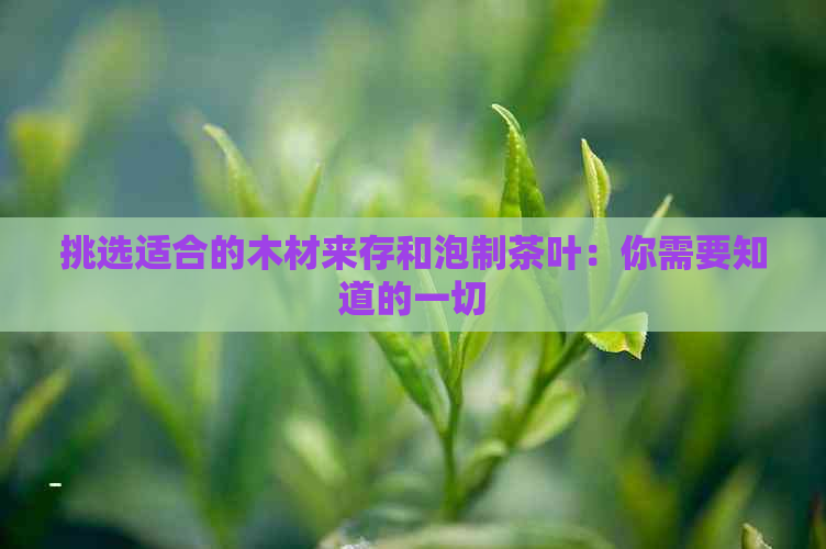 挑选适合的木材来存和泡制茶叶：你需要知道的一切