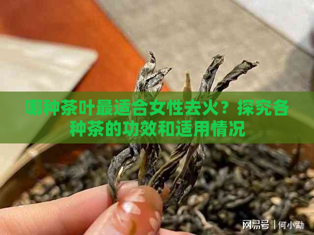 哪种茶叶最适合女性去火？探究各种茶的功效和适用情况