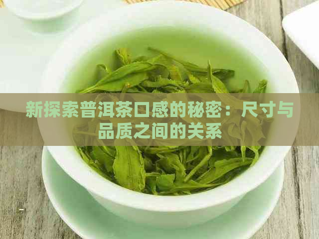 新探索普洱茶口感的秘密：尺寸与品质之间的关系