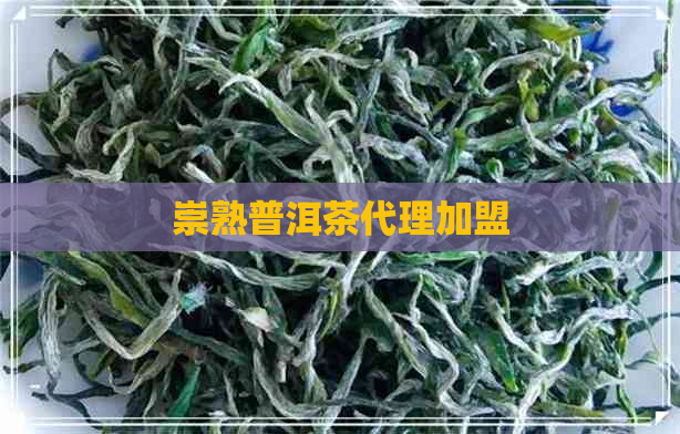 崇熟普洱茶代理加盟