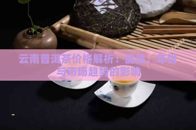 云南普洱茶价格解析：品质、年份与市场趋势的影响