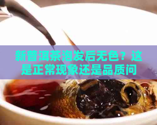 新普洱茶泡发后无色？这是正常现象还是品质问题？