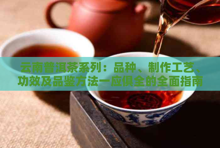 云南普洱茶系列：品种、制作工艺、功效及品鉴方法一应俱全的全面指南