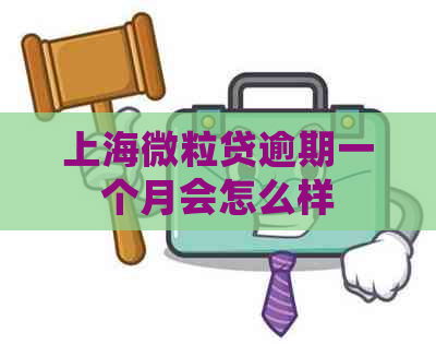 上海微立贷逾期一个月会怎么样