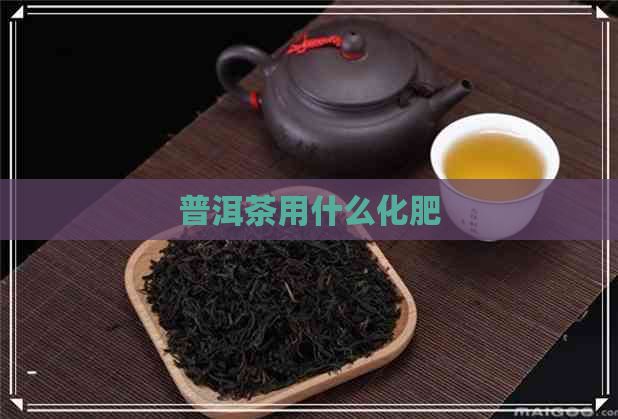 普洱茶用什么化肥