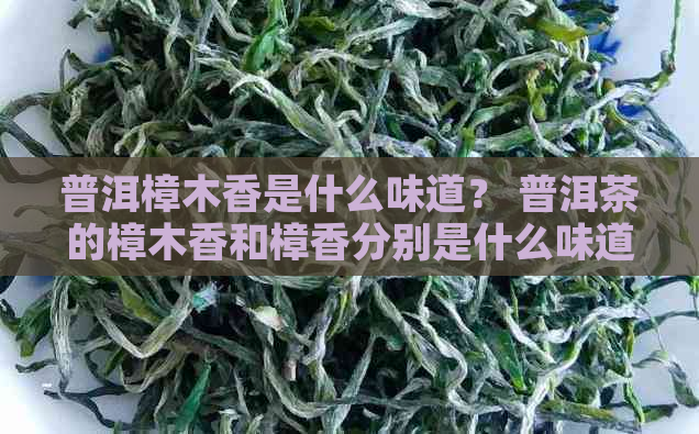 普洱樟木香是什么味道？ 普洱茶的樟木香和樟香分别是什么味道？