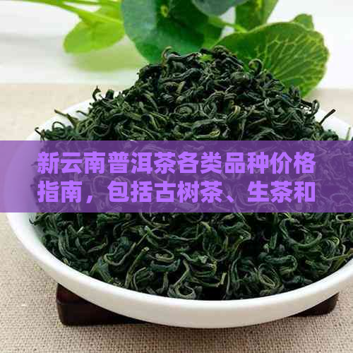 新云南普洱茶各类品种价格指南，包括古树茶、生茶和熟茶等