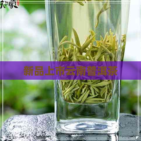 新品上市云南普洱茶