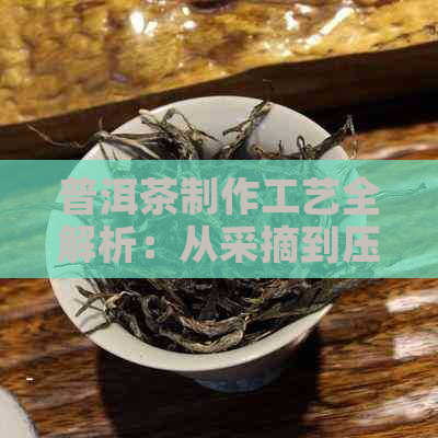 普洱茶制作工艺全解析：从采摘到压制的全过程