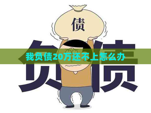 我负债20万还不上怎么办