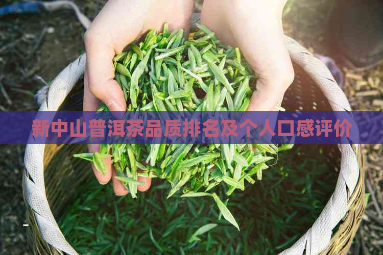 新中山普洱茶品质排名及个人口感评价