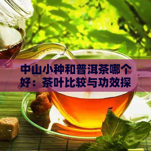 中山小种和普洱茶哪个好：茶叶比较与功效探讨