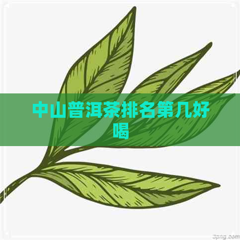 中山普洱茶排名第几好喝