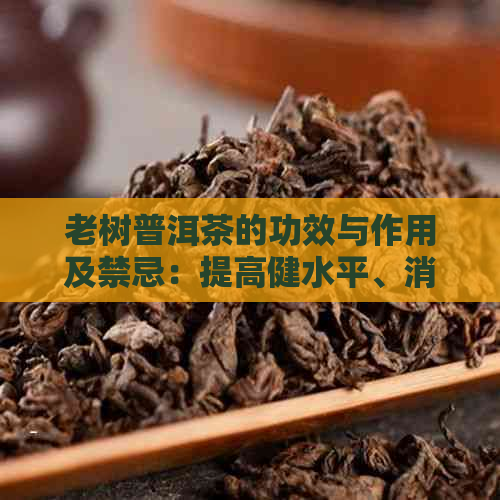 老树普洱茶的功效与作用及禁忌：提高健水平、消化助兴、降脂减肥等。