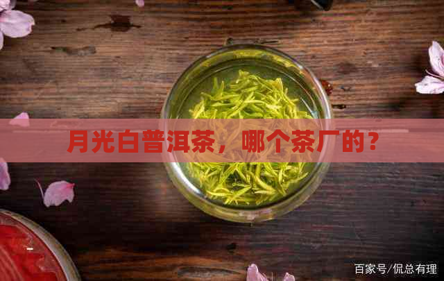 月光白普洱茶，哪个茶厂的？