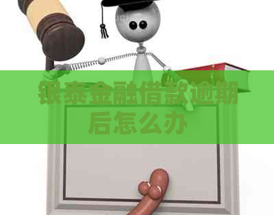 银泰金融借款逾期后怎么办