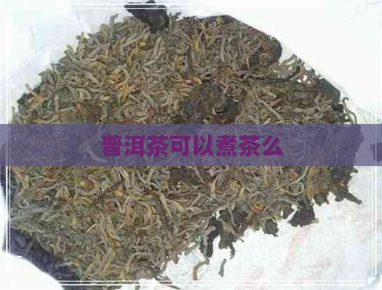 普洱茶可以煮茶么