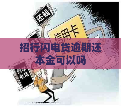 招行闪电贷逾期还本金可以吗