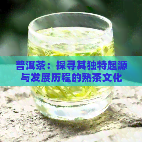 普洱茶：探寻其独特起源与发展历程的熟茶文化