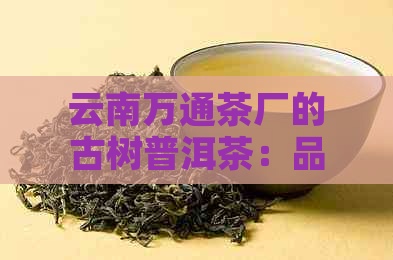 云南万通茶厂的古树普洱茶：品质与价格分析