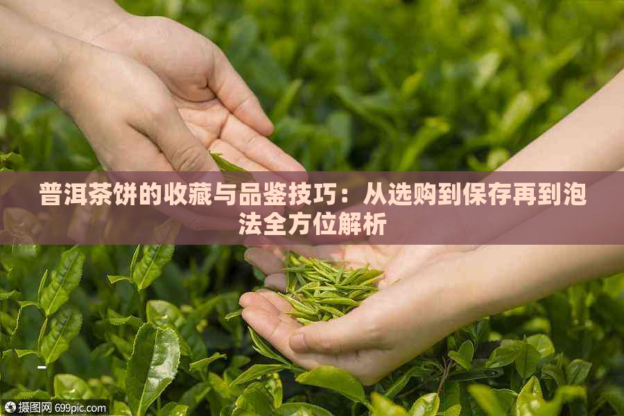 普洱茶饼的收藏与品鉴技巧：从选购到保存再到泡法全方位解析