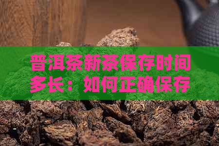 普洱茶新茶保存时间多长：如何正确保存普洱茶新茶以保持其口感？